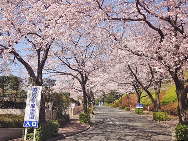 東京多摩霊園