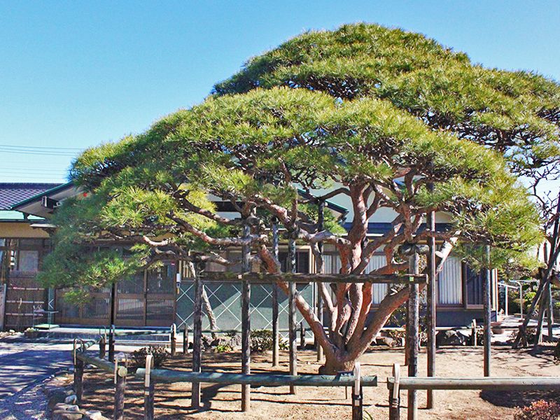 八潮樹木葬庭苑