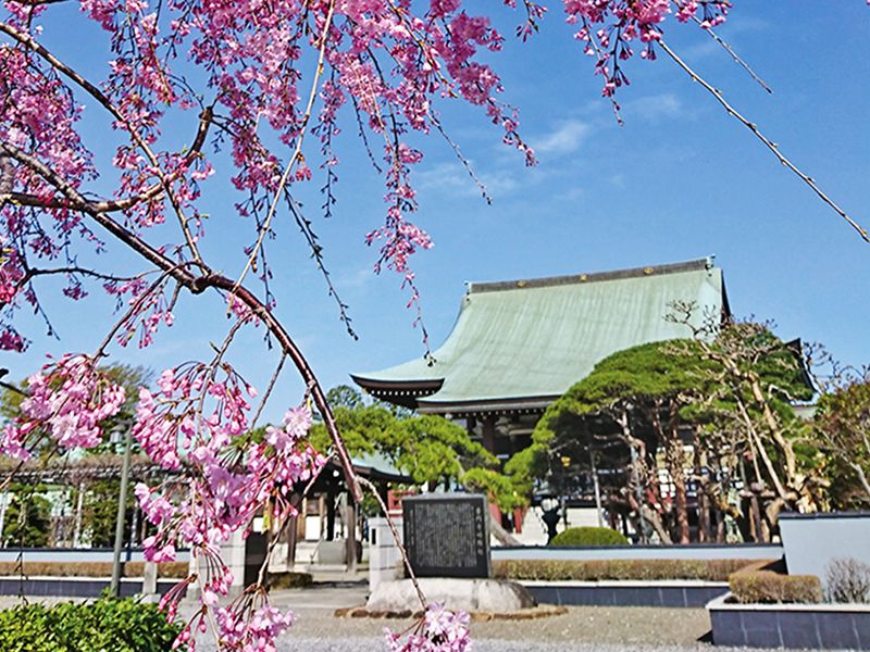 八潮樹木葬庭苑