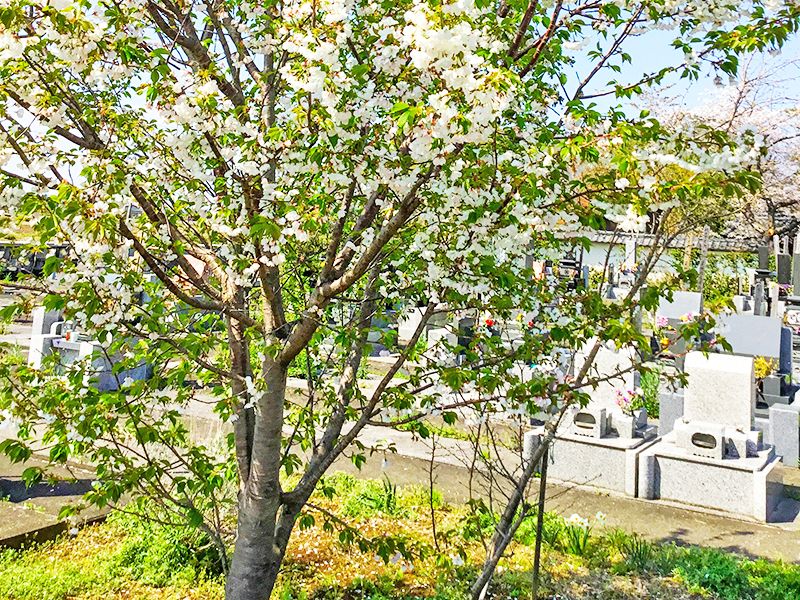 川島すみれ霊園
