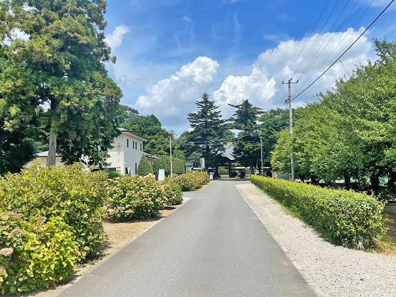 浄国寺 のうこつぼ