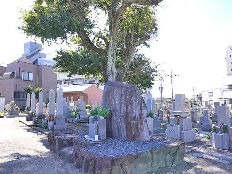 豊中市新免 南轟木二大字共有墓地
