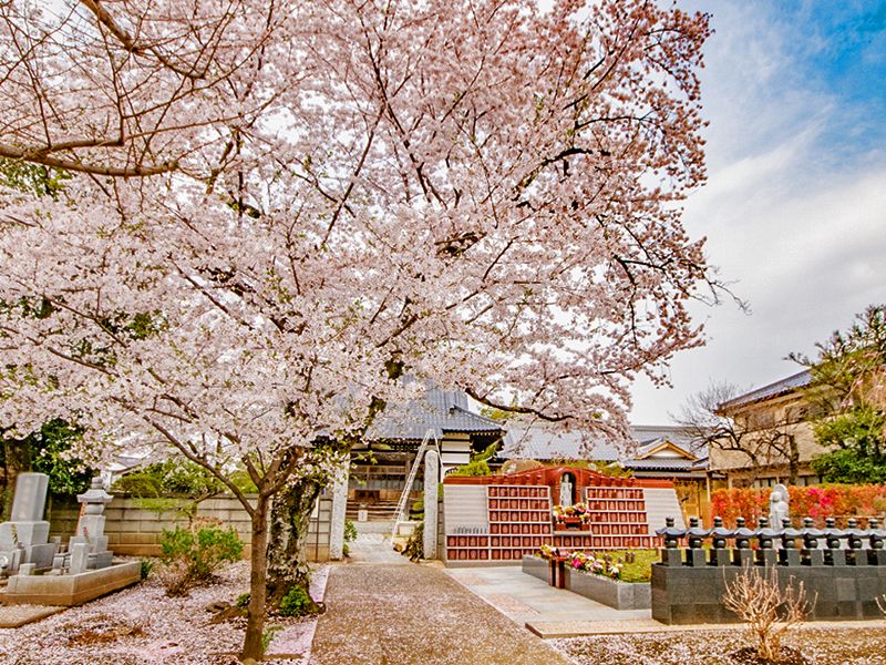 放光寺 永代供養墓・樹木葬