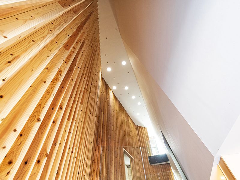 天井の北斗七星