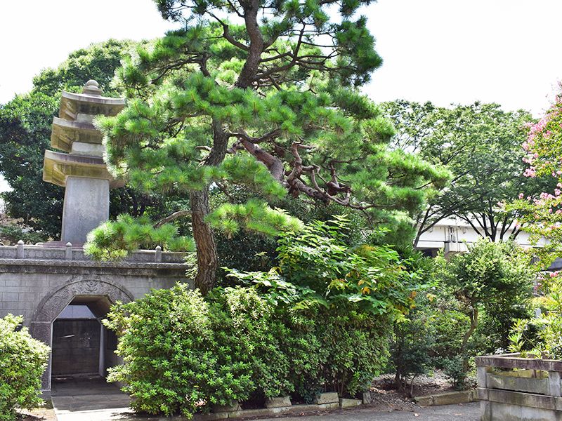 築地本願寺 和田堀廟所