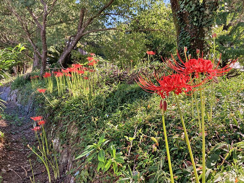 岡部るりやま墓苑