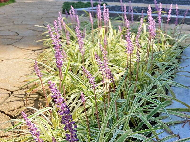 岡部るりやま墓苑