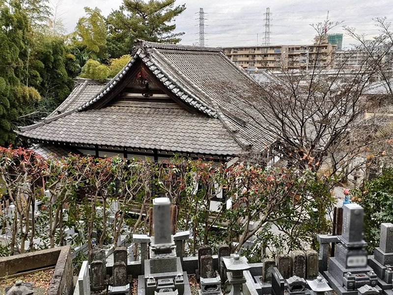 本長寺 樹木葬 星影～ほしかげ～