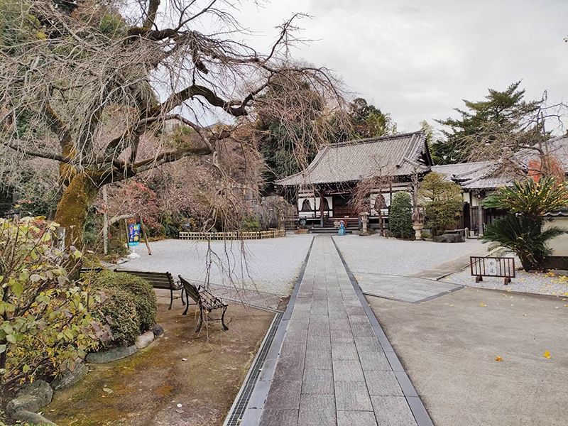 本長寺 樹木葬 星影～ほしかげ～