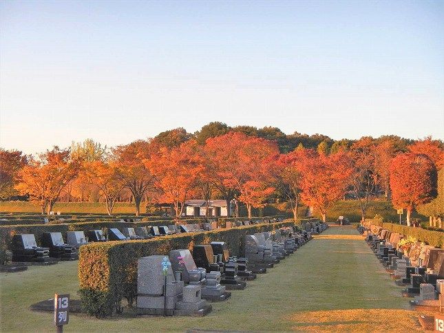 さいたま市営霊園 思い出の里　秋の芝生墓地