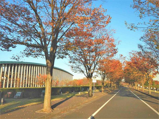 さいたま市営霊園 思い出の里　園内一角