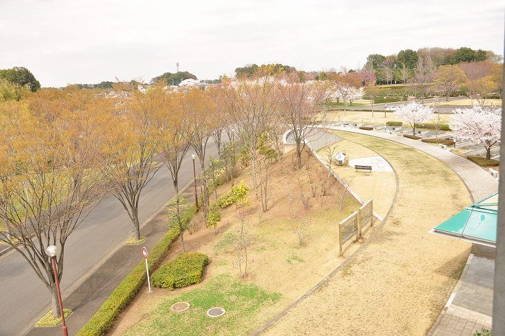 さいたま市営霊園 思い出の里　木立に囲まれた園内