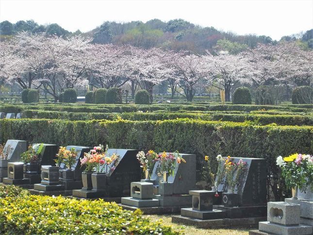 さいたま市営霊園 思い出の里　自然環境に恵まれた墓域
