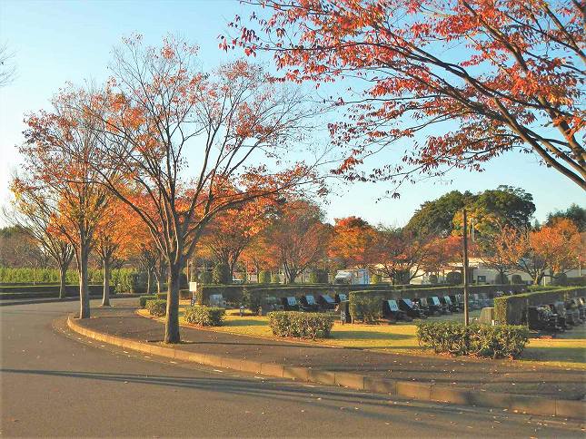 さいたま市営霊園 思い出の里　豊かな自然の中にある霊園
