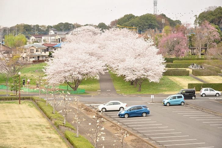 さいたま市営霊園 思い出の里　広大な専用駐車場