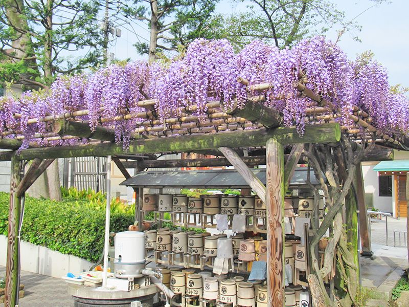 表参道 樹木葬 けやきガーデン