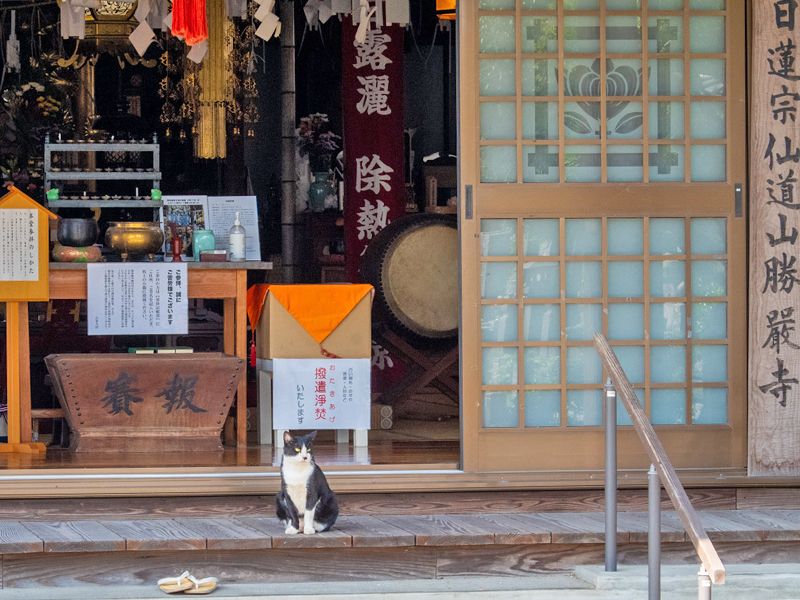 堂内の入口と祭壇