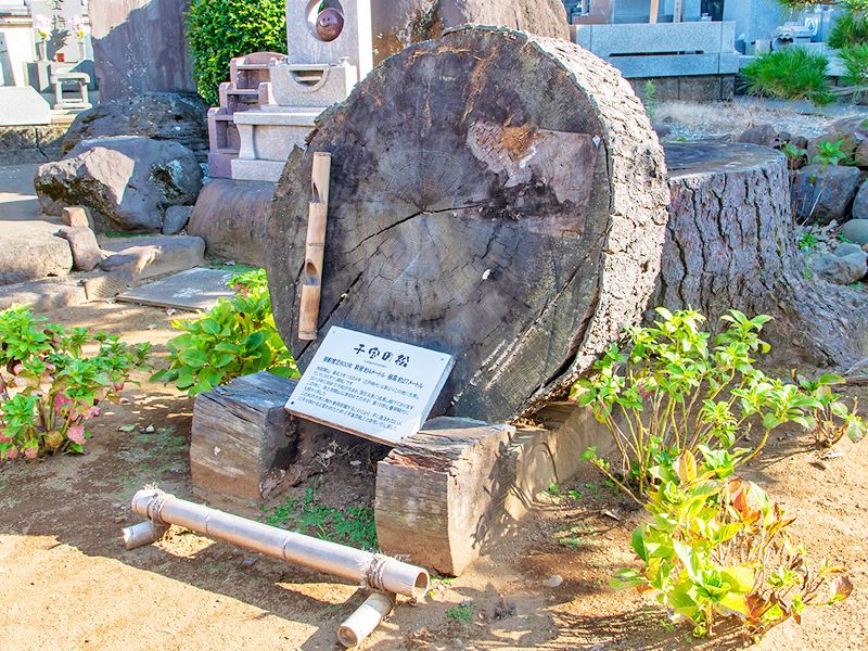 石の供養碑