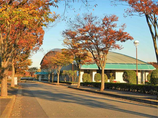 さいたま市営霊園 思い出の里　紅葉も楽しめる園内