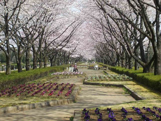 さいたま市営霊園 思い出の里　多様な花が楽しめる園内
