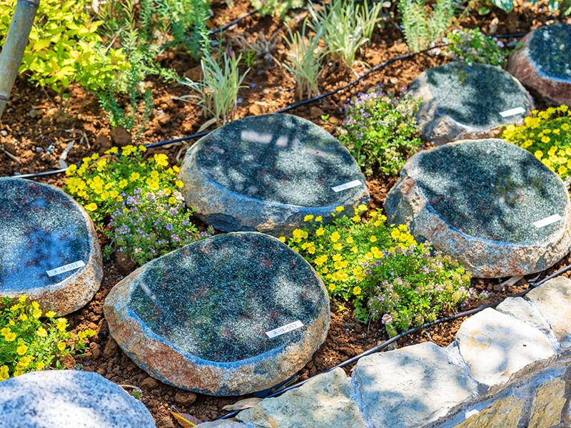 しまだ阿知ケ谷庭苑