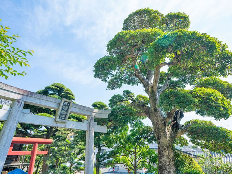しまだ阿知ケ谷庭苑