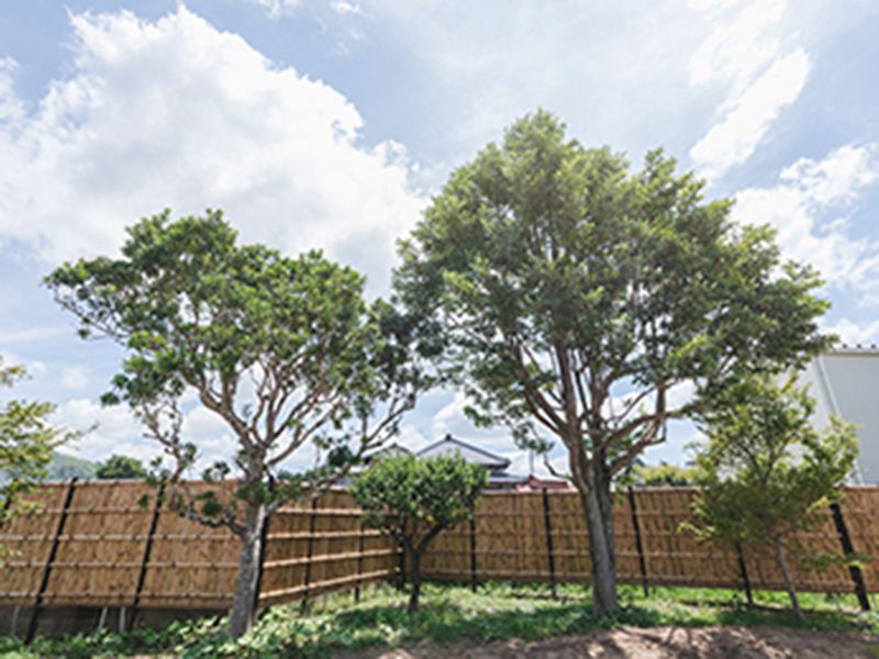 市原市樹木葬霊園