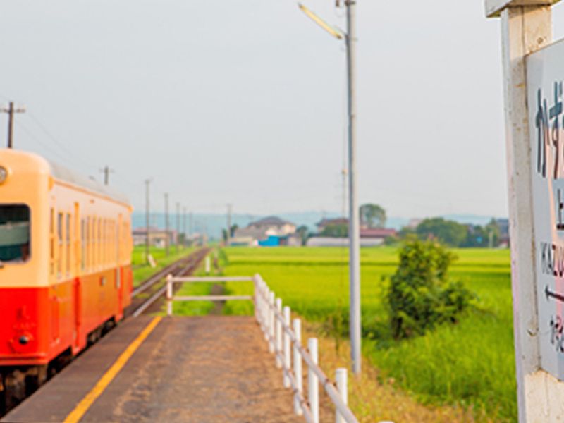 市原市樹木葬霊園
