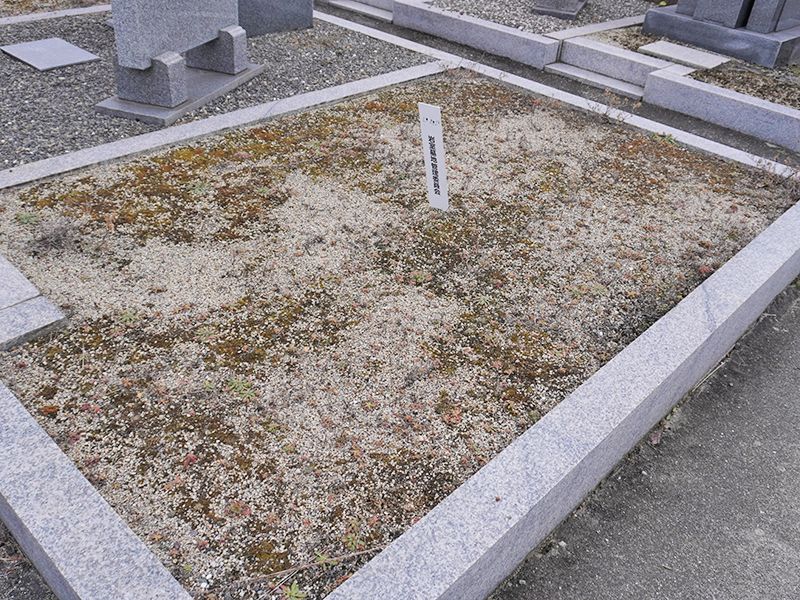 堺市南区岩室霊園