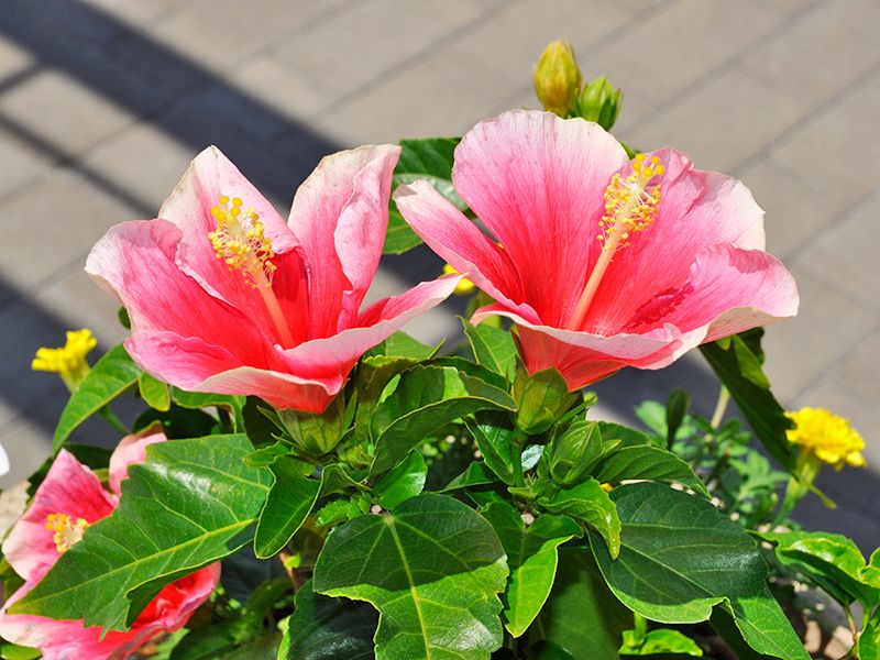 蓮田聖地霊園