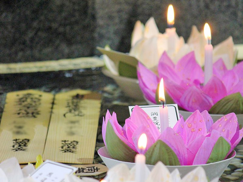 お盆や春と秋のお彼岸には大法要を執り行いご供養いたします