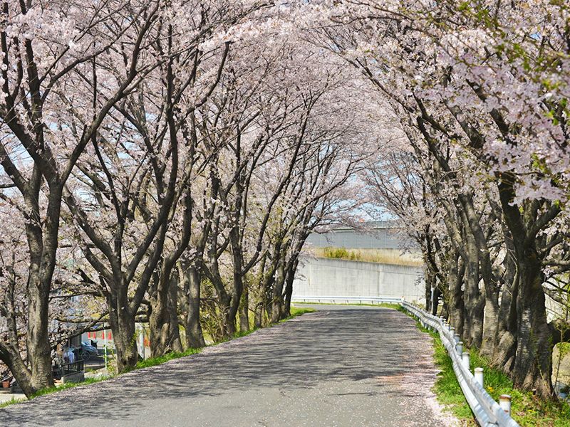 東山霊園