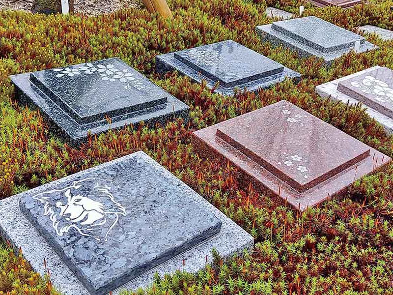 尾張萩の寺 花樂苑