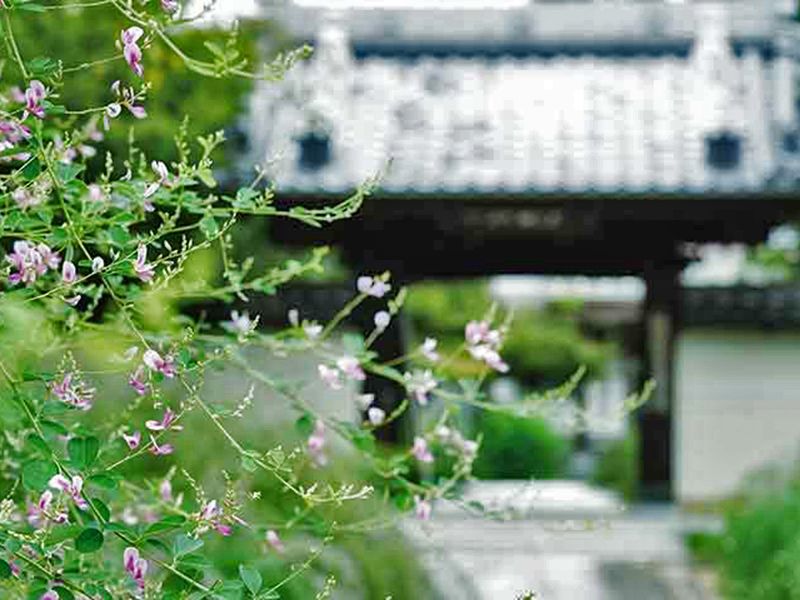 尾張萩の寺 花樂苑