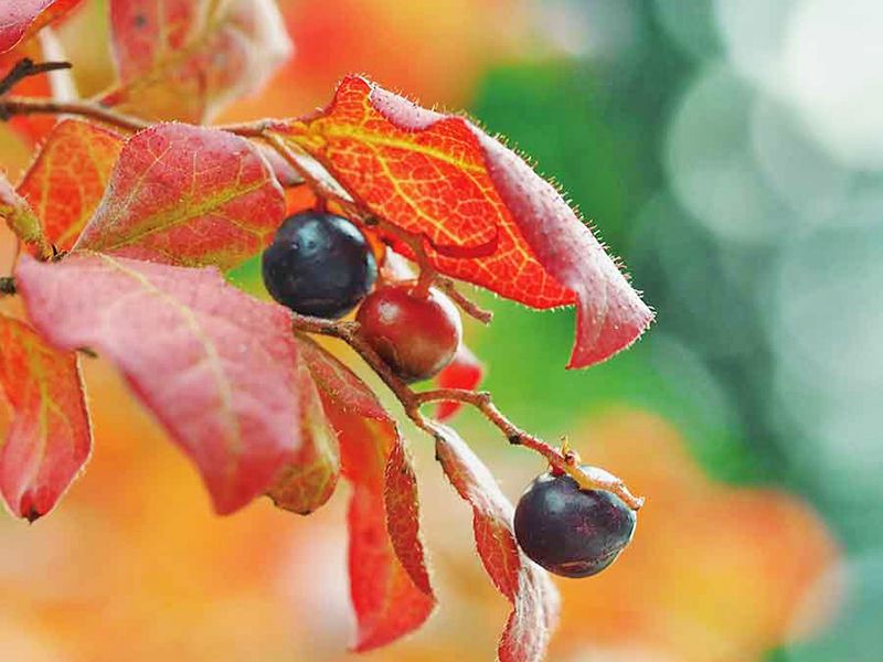 尾張萩の寺 花樂苑