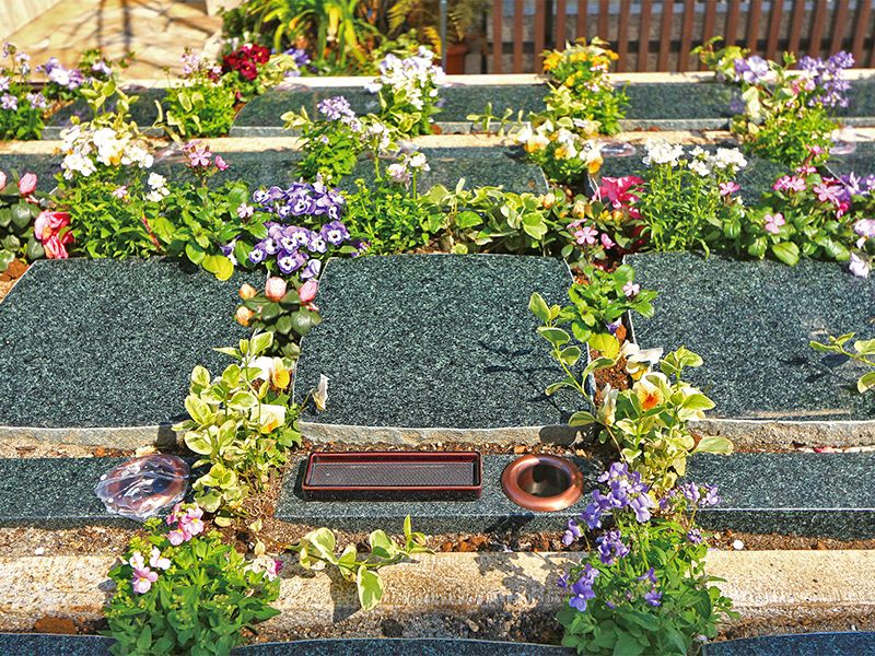 宗参寺 樹木葬 結いの桜・優美の舞・蓮香