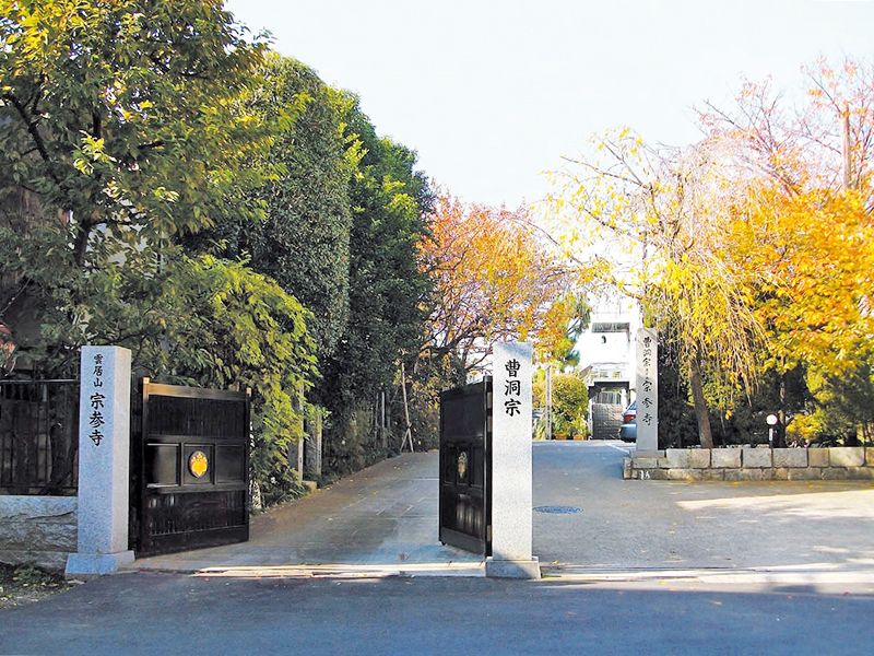 宗参寺 樹木葬 結いの桜・優美の舞