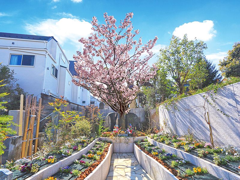 宗参寺 樹木葬 結いの桜・優美の舞・蓮香