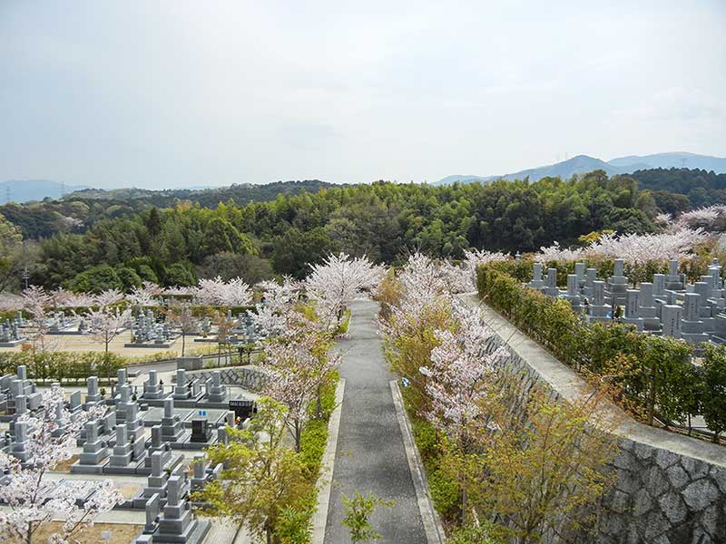 南大阪霊園の墓域と空と桜