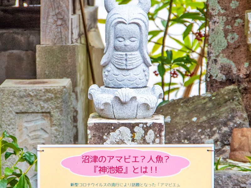 神池姫