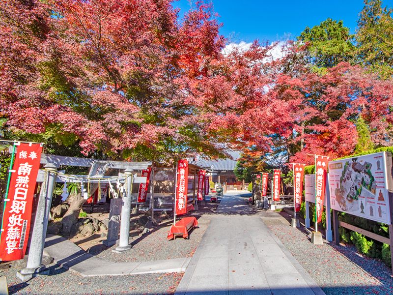 観音院 永代供養墓・樹木葬