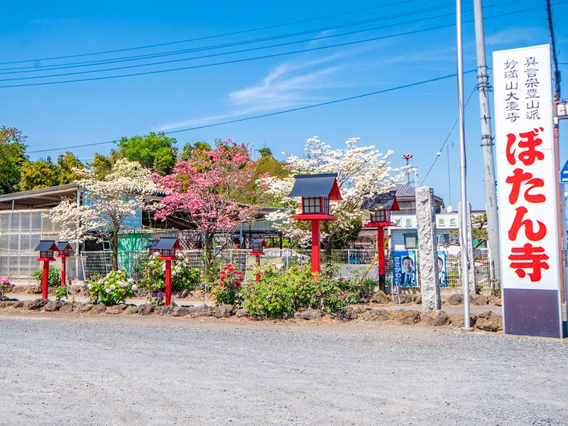 大慶寺 永代供養墓・樹木葬