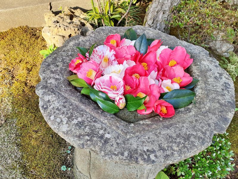 寿光墓苑・自然葬墓（樹木葬墓）