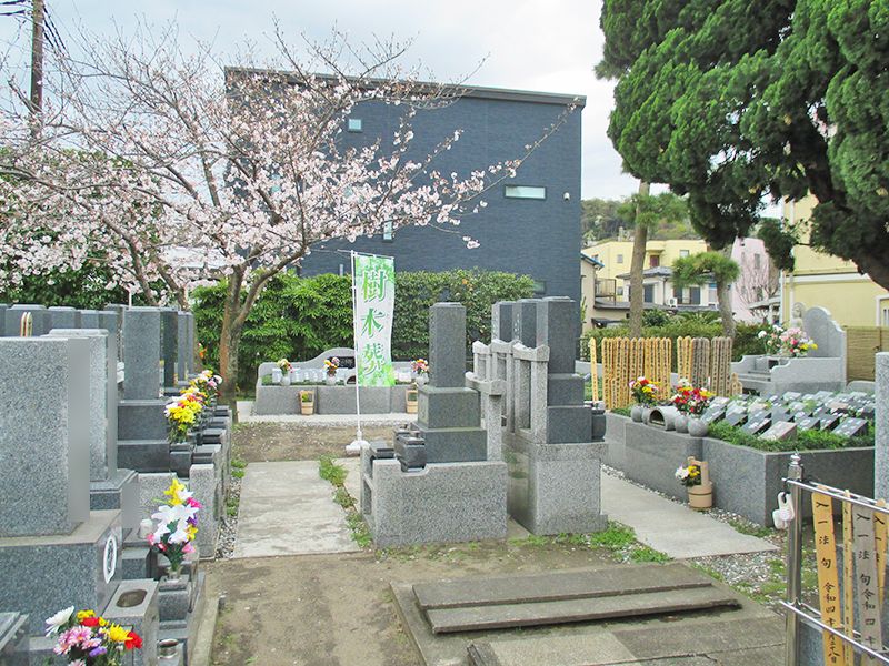 横須賀市久里浜 樹木葬永久の郷