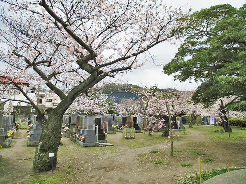 長安寺