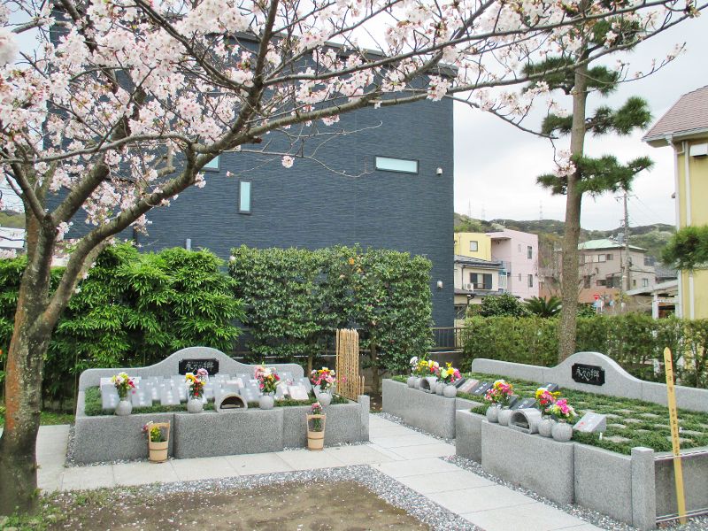 横須賀市久里浜 樹木葬永久の郷