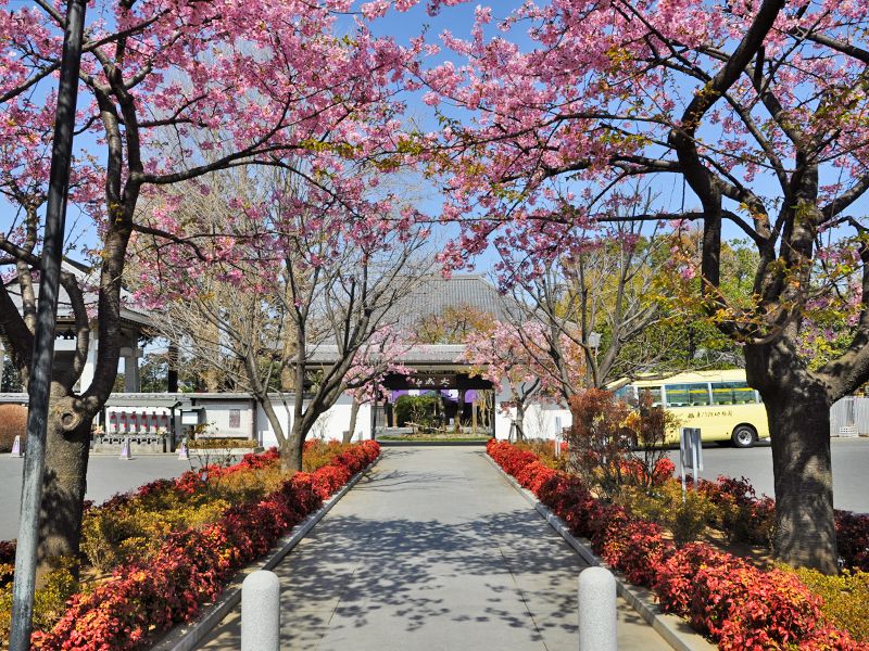 普門院「永代供養付墓いつくしみ」