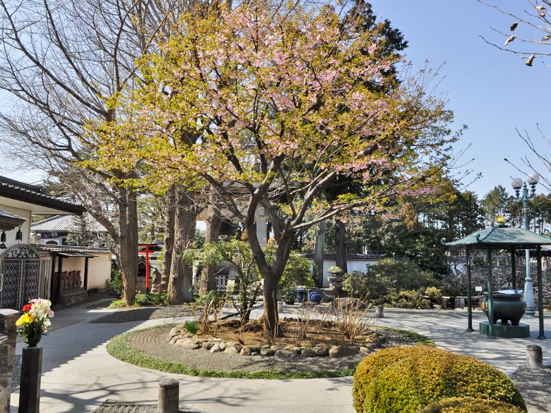 普門院「永代供養付墓いつくしみ」