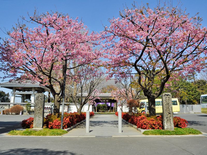 普門院「永代供養付墓いつくしみ」