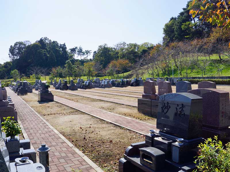 京阪奈墓地公園　日の当たる園内